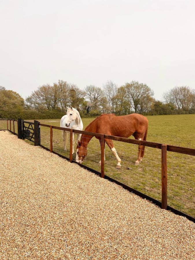 The Hayloft Villa Gestingthorpe Dış mekan fotoğraf